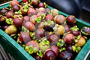 Fresh mangosteen in fruit crate