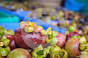 Fresh mangosteen fruit after harvest waiting to be sold.