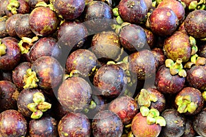 Fresh mangosteen fruit symmetrically to attract buyers at market stall photo