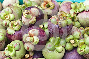 Fresh mangosteen after harvest.