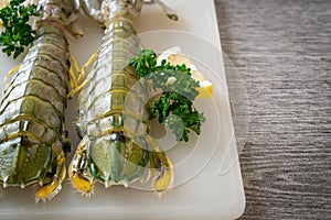 fresh mantis shrimp with lemon