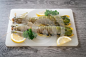 Fresh mantis shrimp with lemon