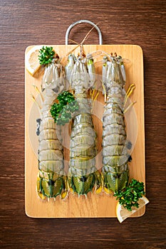 Fresh mantis shrimp with lemon