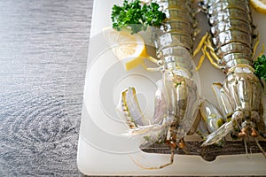 Fresh mantis shrimp with lemon