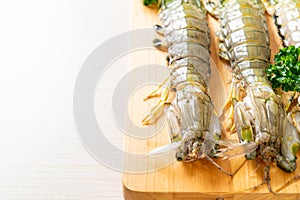 Fresh mantis shrimp with lemon