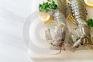 Fresh mantis shrimp with lemon