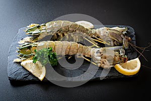 Fresh mantis shrimp with lemon