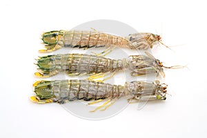 fresh mantis shrimp on white background