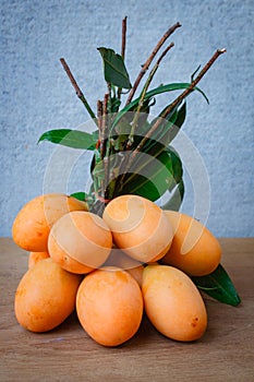 Fresh marian plum on wood background.