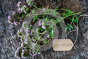 Fresh marjoram herb