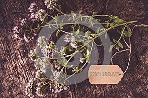 Fresh marjoram herb