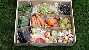 Fresh Market. Farmer fills the box of Fruits and Vegetables with apples