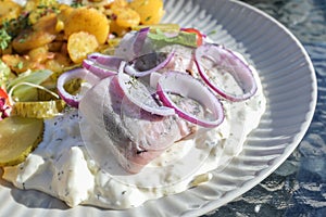 Fresh matjes or soused herring on an apple cream sauce, traditional fish dish with onions, fried potatoes and pickles in an