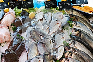 Fresh mediterranean fish on market in France