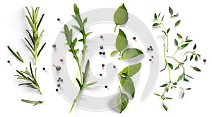 fresh mediterranean herb and spices on white background. Food design element