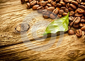 Fresh medium roast coffee beans on rustic wood