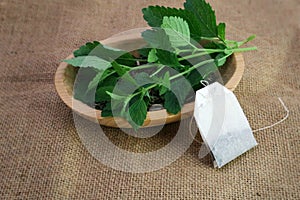 Fresh Melissa stalks with leaves on dry herb in wooden bowl with a tea bag