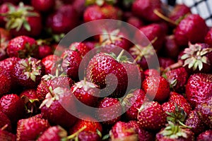 Fresh and mellow red strauberries in a box