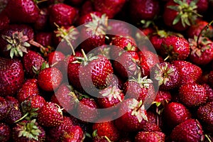 Fresh and mellow red strauberries in a box