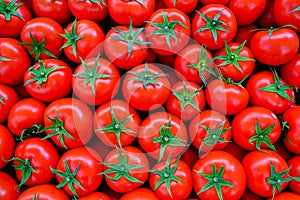 Fresh mellow tomato background