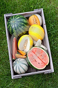 Fresh melons