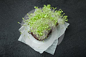 Fresh micro-green salad with roots on paper on a black background. Immunity stimulant and prolongation of youth