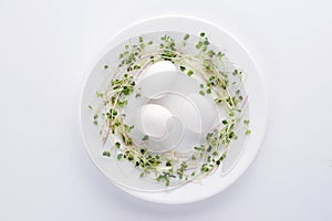 Fresh micro greens and natural eggs on a white plate on white background.