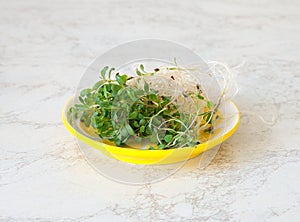 Fresh microgreen on plate