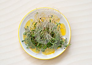 Fresh microgreen  plate