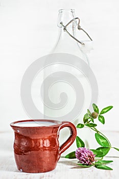 Fresh milk in ceramic mug, old fashioned bottle and wildflowers