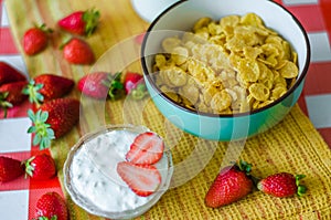 Fresh milk in glass bottle, cereals in green blue ceramic bowl, tasty yogurt in small glass bowl with a lot of strawberries around