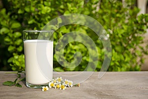 Fresh milk in the glass on nature background