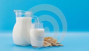 Fresh Milk in Pitcher and Glass