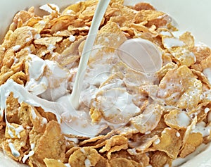 Fresh milk pouring into bowl of cereal