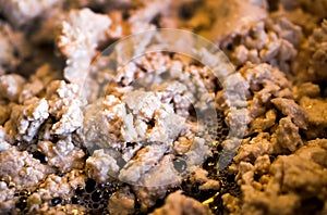 Fresh minced meat fried in pan