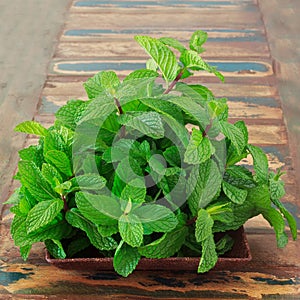 Fresh mint in brown bowl on wooden table