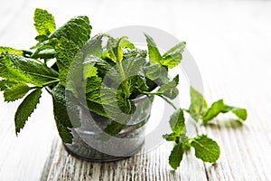 Fresh mint in bucket