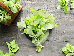 Fresh mint bunch on a rustic table