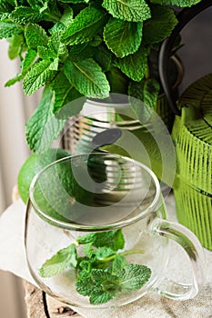 Fresh mint bunch in tin can, glass cup, pot, lime on linen cloth, preparing to brew herbal tea