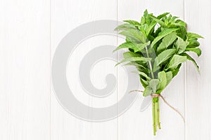 Fresh mint bunch