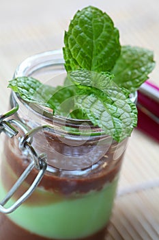 Fresh mint on chocolate cream