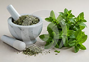 Fresh mint and dried herbs