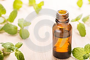 Fresh mint essential oil