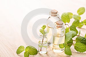 Fresh mint essential oil