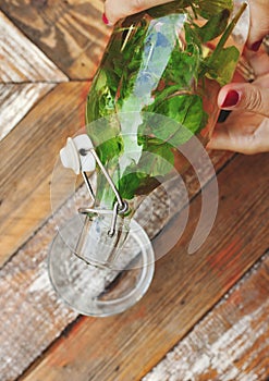 Fresh mint flavored water pouring