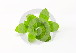 Fresh mint isolated on white