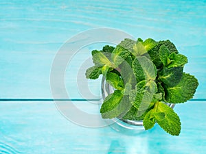 Fresh mint leaf close up on blue background
