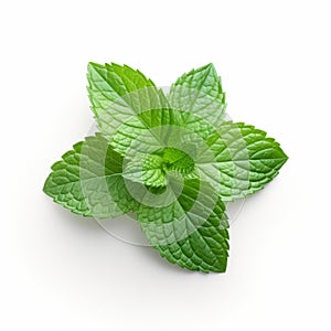 Fresh Mint Leaf On White Background - Minty Scent And Vibrant Patterns