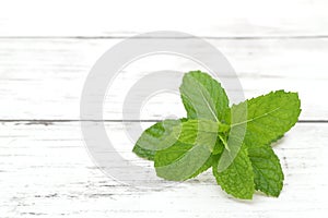 Fresh Mint leaf on wooden table