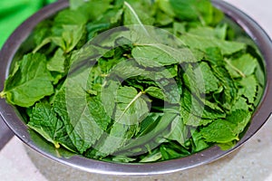 Fresh mint leaves in a bowl photo